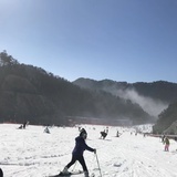 豆友185450122