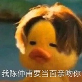 圆圆子璇策