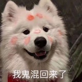 乔jùn昇