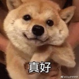 只评论一次