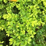 一袋米扛几楼