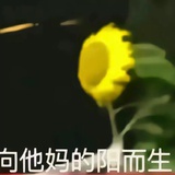 春眠不觉小小酥