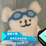 线条小狗puppy
