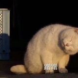 克里斯星🌟