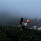 咸鱼太后