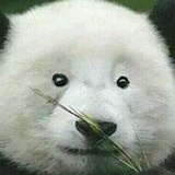 讷讷