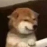 沫䫐_co