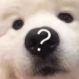 天气好耶