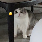 可可豆不要逗