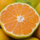 豆果侠