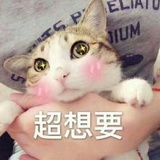 狮院学姐