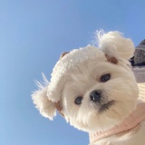 你真可爱