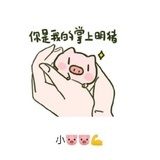 机智的暖暖