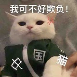 波霸绿茶三分甜