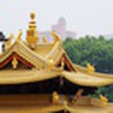 羽翼渐丰小南