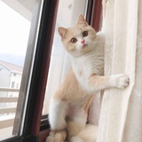 子邺慕羽