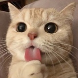 聚能桓