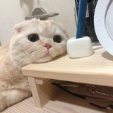 长安