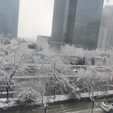 左右