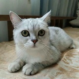 Hey_May曼仔