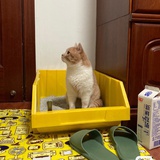 小林啾³