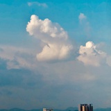 鱼酱酱
