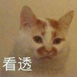 荒丘过隙