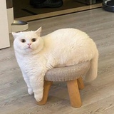 我都说了我很烦