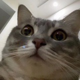 愚公移山一般