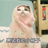谢夯夯