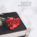 遇见更好的自己