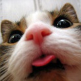 baoberrr
