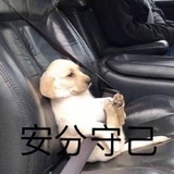 咸鱼味小饼干
