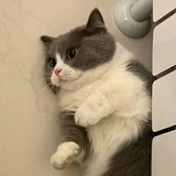 长安
