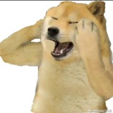 旺财霹雳暴龙