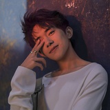 鲸