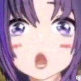 枝江夜蝶