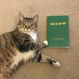 あいぞめmeoω