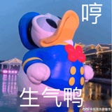 皮皮同学