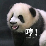 赤焰狂魔莫小贝