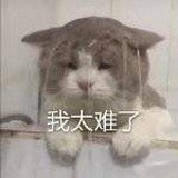 果然多