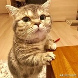 白云苦海
