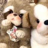 mimo
