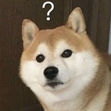 快快碎觉