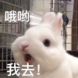 怀瑾