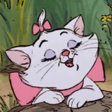 LiaLee