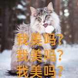 叮叮正版小可爱