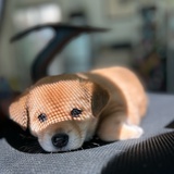 王大爷
