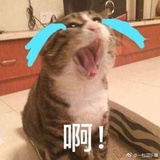 可可