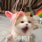 二丫和蛋蛋麻麻